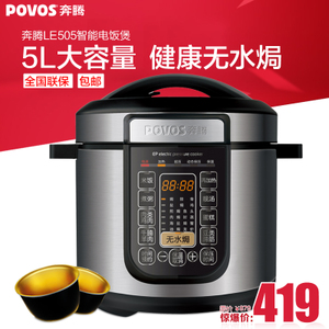 Povos/奔腾 le505