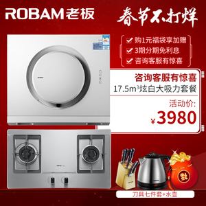 Robam/老板 21A658G3