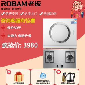 Robam/老板 21A658G3