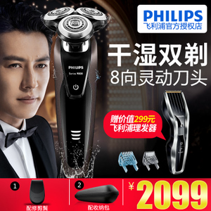 Philips/飞利浦 s9031