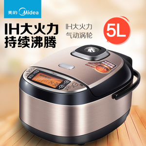 Midea/美的 WFZ5099IH