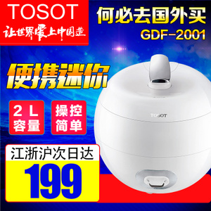TOSOT/大松 GDF-2001