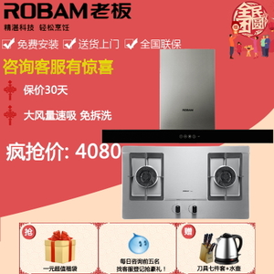 Robam/老板 830758G3