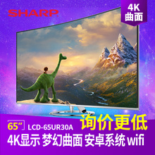 Sharp/夏普 110-240V-50Hz-310W