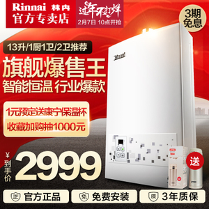 Rinnai/林内 JSQ26-22CA