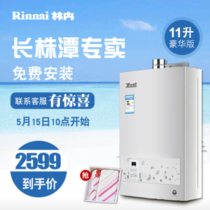 Rinnai/林内 JSQ22-22CA