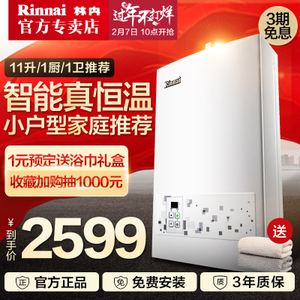 Rinnai/林内 JSQ22-22CA