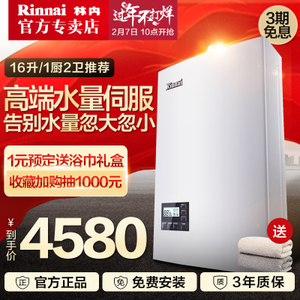 Rinnai/林内 JSQ32-55C