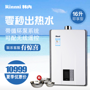 Rinnai/林内 JSQ32-R65A