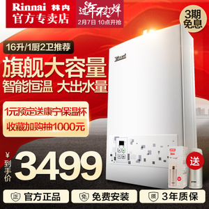 Rinnai/林内 JSQ32-22CA