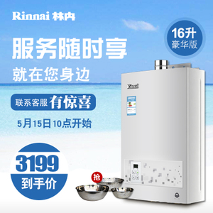 Rinnai/林内 JSQ32-22CA