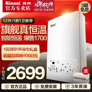 Rinnai/林内 JSQ24-22CA