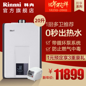 Rinnai/林内 JSQ40-R65A