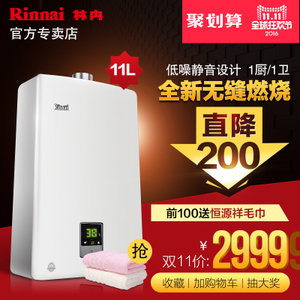 Rinnai/林内 JSQ22-C01