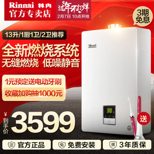 Rinnai/林内 JSQ26-C01