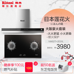 Rinnai/林内 CXW-218-NM02TRB-2E01L