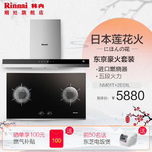 Rinnai/林内 CXW-220-NM01TRB-2E01L