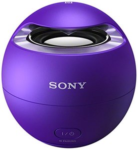 Sony/索尼 SRS-X1