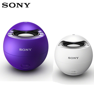 Sony/索尼 SRS-X1