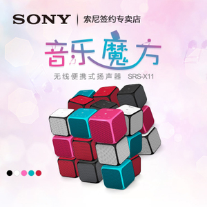 Sony/索尼 SRS-X11