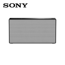 Sony/索尼 SRS-X55