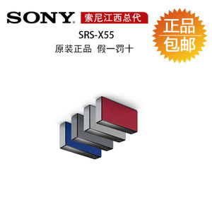 Sony/索尼 SRS-X55