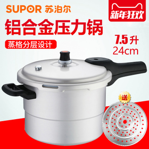 SUPOR/苏泊尔 YL249H2