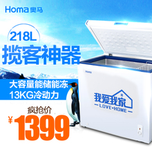 Homa/奥马 BCD-218