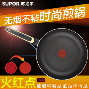 SUPOR/苏泊尔 PJ26AB1