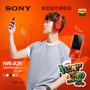 Sony/索尼 NW-A25