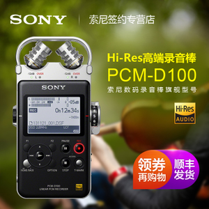 Sony/索尼 PCM-D100