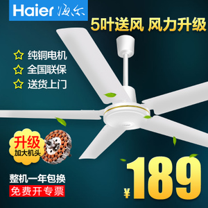 Haier/海尔 FCJ-140