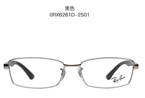 Rayban/雷朋 2501