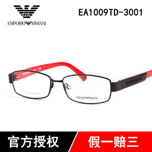 EA1009TD-3001