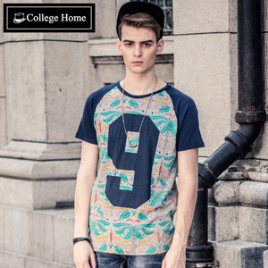 College Home T2149