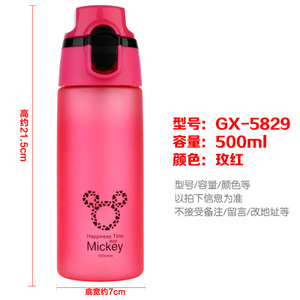 500ML-5829