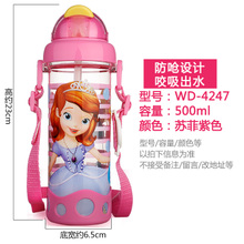 Disney/迪士尼 500ml4247