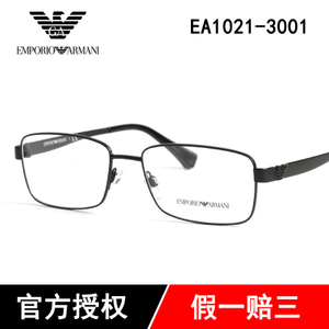 Armani/阿玛尼 3001