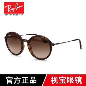 Rayban/雷朋 865-13