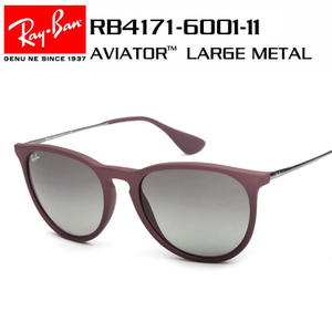 Rayban/雷朋 RB4171-6001