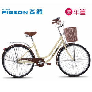 FLYING PIGEON/飞鸽 FGTQYH-24