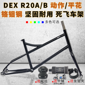 DEX R20A