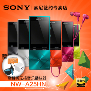 Sony/索尼 NW-A25HN