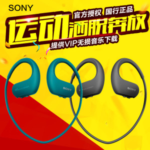 Sony/索尼 NW-WS413