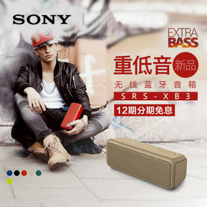 Sony/索尼 SRS-XB3