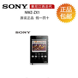 Sony/索尼 NWZ-ZX1