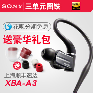 Sony/索尼 XBA-A3