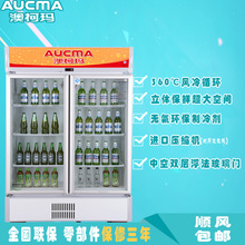 Aucma/澳柯玛 SC-597NE