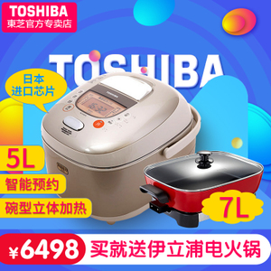 Toshiba/东芝 RC-D18TX