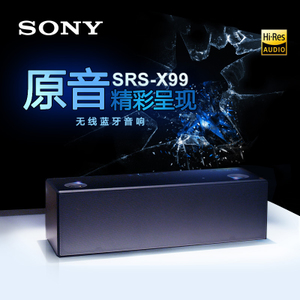 Sony/索尼 SRS-X99